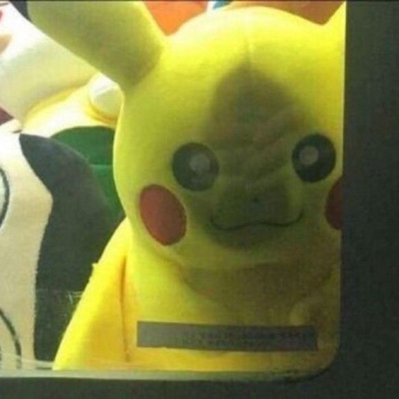 Meet your Posher, Posh - Picture 1 of 1